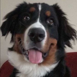 Meet your Posher, Julie